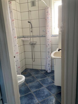 Shower, hair dryer