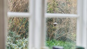 Ein Fenster mit Blick auf einen Garten, einschließlich eines Vogelfutterhauses und verschiedener Pflanzen.
