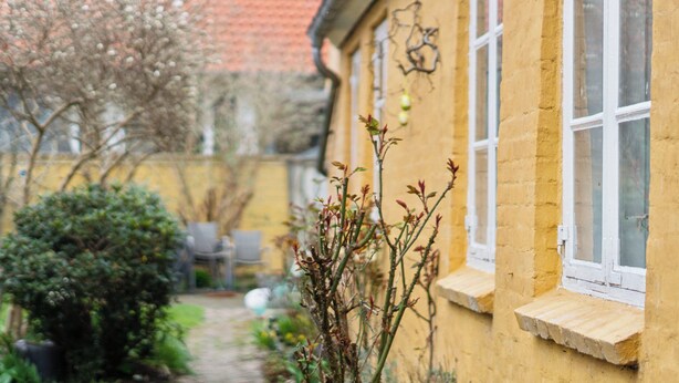 Ein gelbes Gebäude mit weiß gefassten Fenstern, einem Gartenweg und einem Baum mit weißen Blüten.