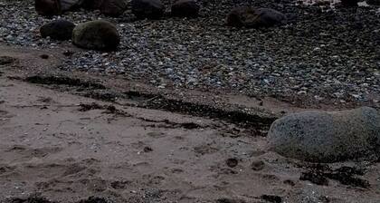 Quiet area, 1.5 km to the beach.