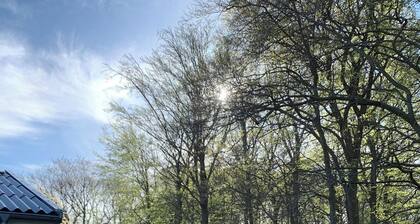 Experience the forest and sea