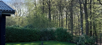Experience the forest and sea
