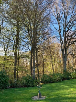 A park with a grassy area, a metal sculpture, and tall trees.