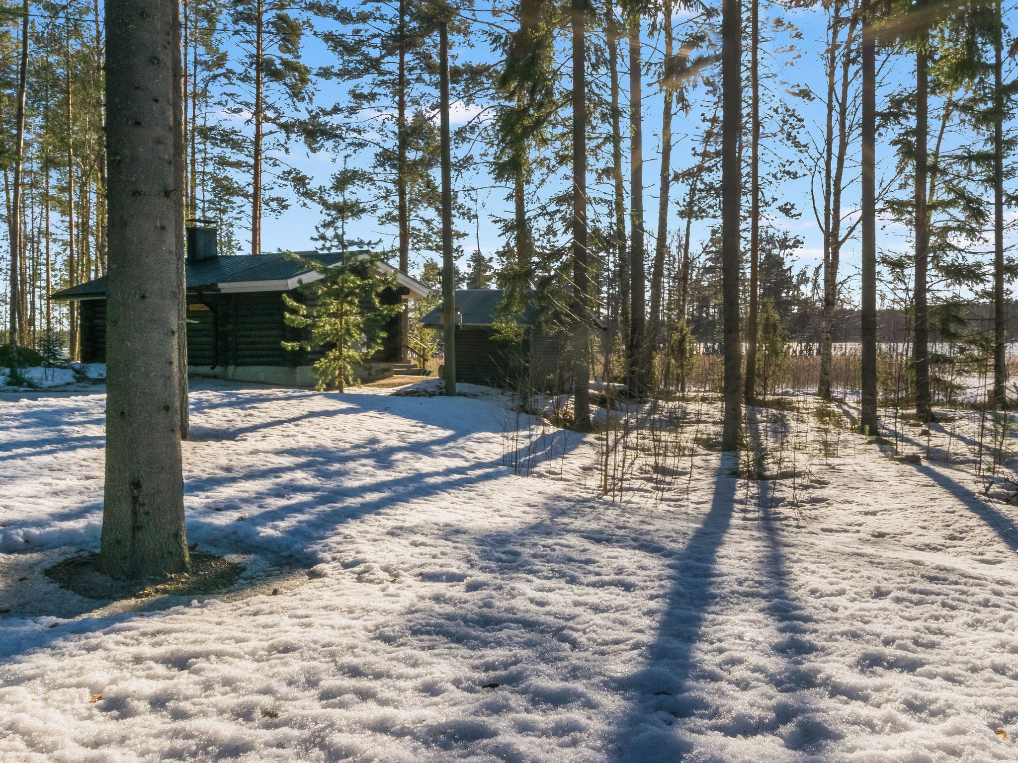 A cabin surrounded by a forest with snow on the ground.