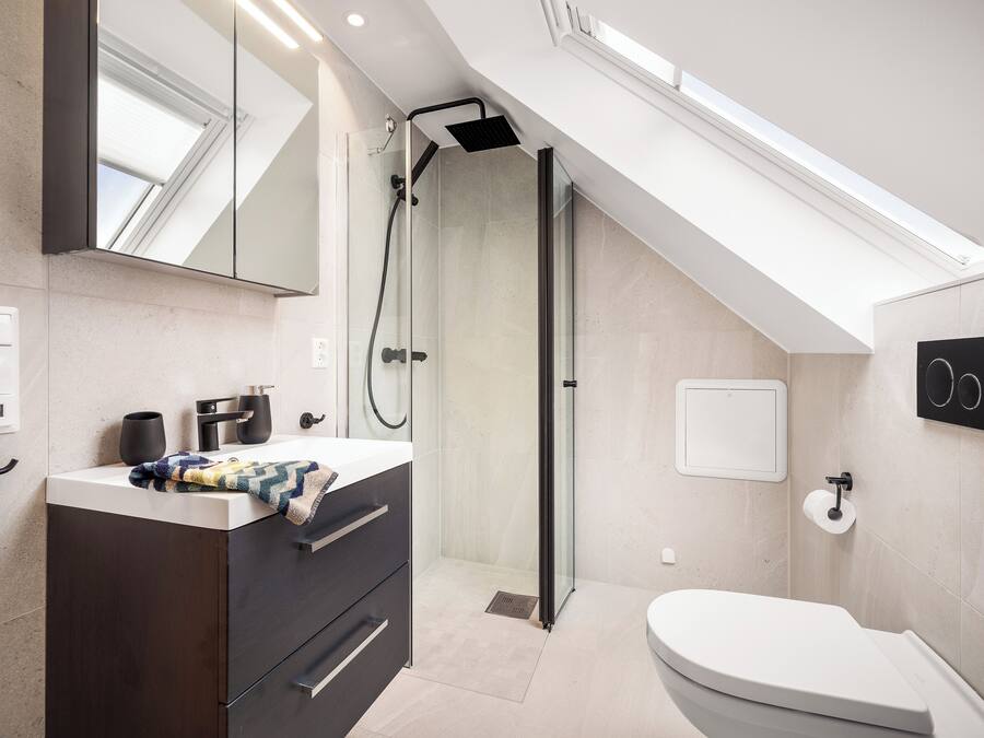 A modern bathroom with a skylight, a shower, and a toilet.