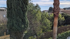 A garden with a tall coniferous tree, a palm tree, and various shrubs.