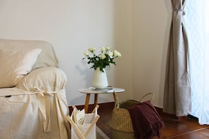 TV connectée, cheminée, livres