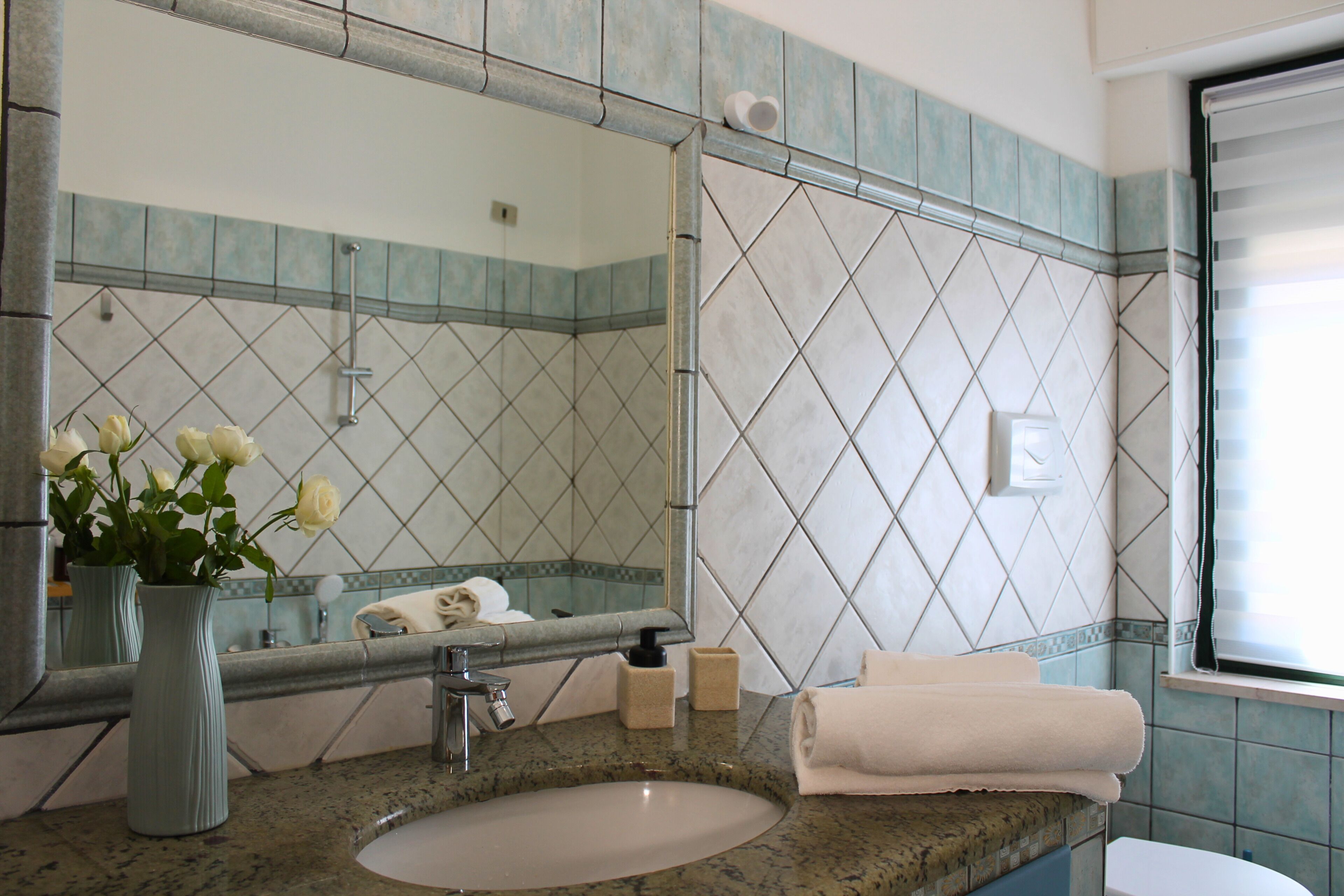 Jetted tub, hair dryer, bidet, towels