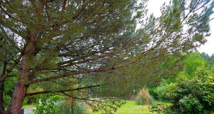 belle villa 3000 M2 parc clos 7' de l'océan 1 'des commerces