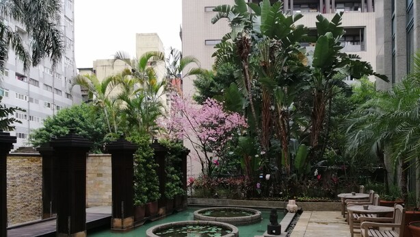 Un patio con fuente, mobiliario y abundante vegetación.