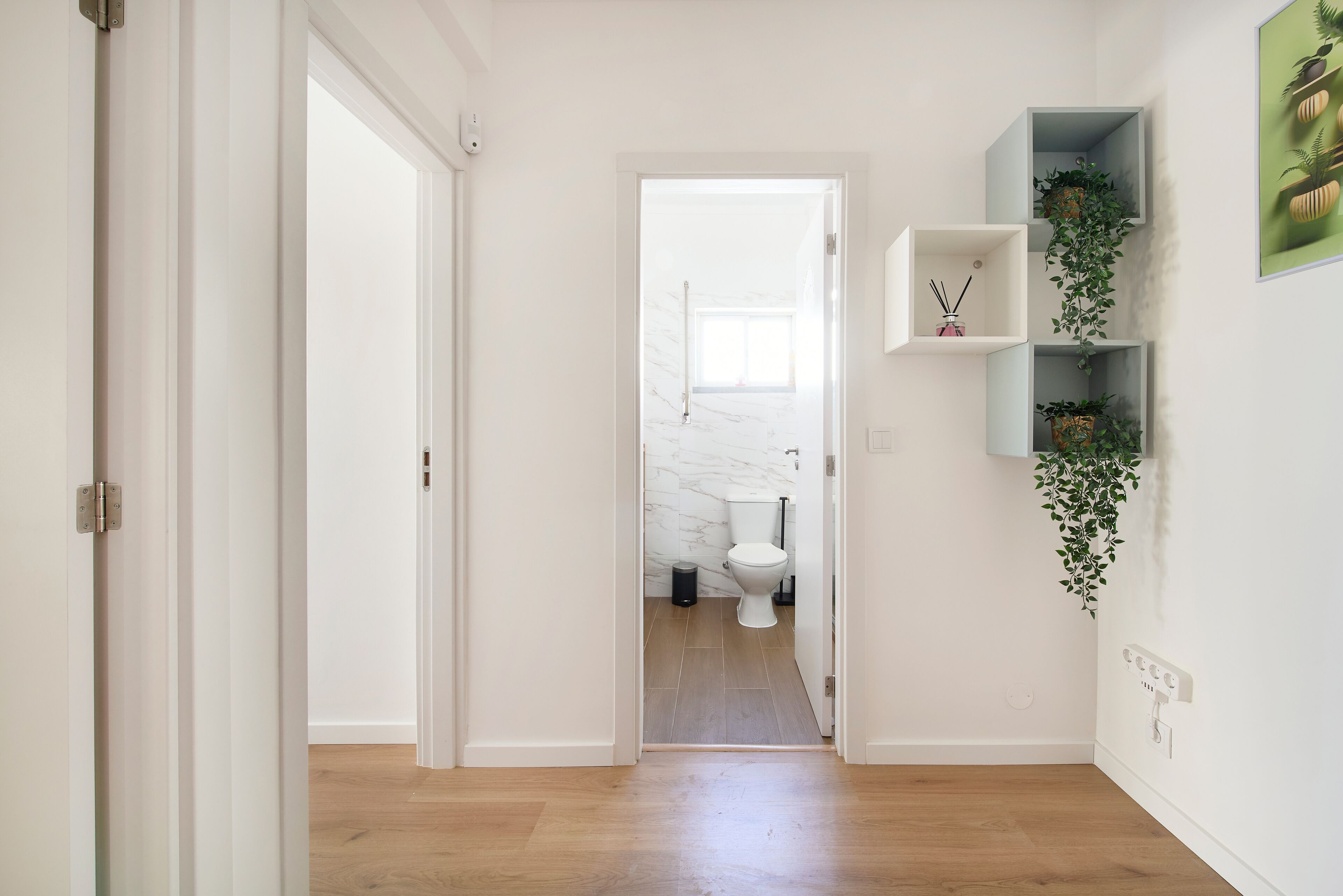 En hall som leder till ett badrum med en toalett, en vägg av marmor och en hylla med växter.