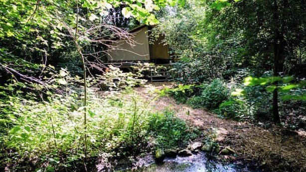 A rustic cabin surrounded by dense forest and a small stream. - Dormir au Chant des Loups - 1 (Sury-aux-Bois)