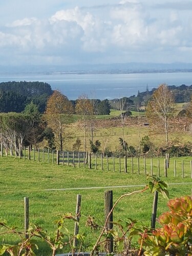 Sunny Awhitu Cottage / A Dozen Beach's to choose from 10 minutes away. 