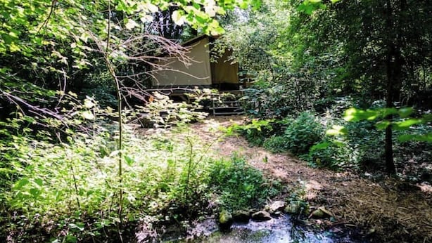 Eine rustikale Holzhütte, umgeben von dichtem Wald und einem kleinen Bach.