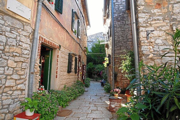 Exterior detail - Apartment for 4 in Bale near Rovinj (Bale)