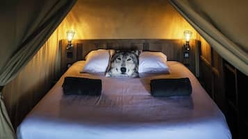 2 chambres, draps fournis