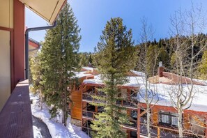 Property grounds - Prime Breck Location – Walk to Ski & Shops (Breckenridge)