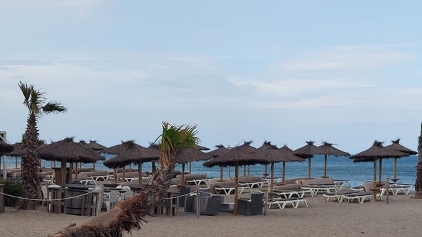 A beach with thatched umbrellas, lounge chairs, and palm trees. - Apartment terasse Le Barcarès  (Le Barcarès)