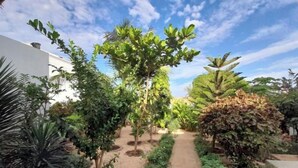 A garden pathway surrounded by various plants and trees. - 1 Bedroom Bed & breakfast in GuÃ©rÃ©o (Guéréo)