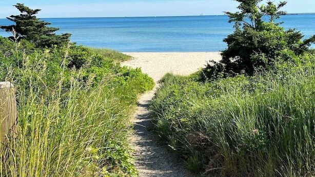 Un sentier qui mène à une plage d’où l’on a une vue dégagée sur l’océan.