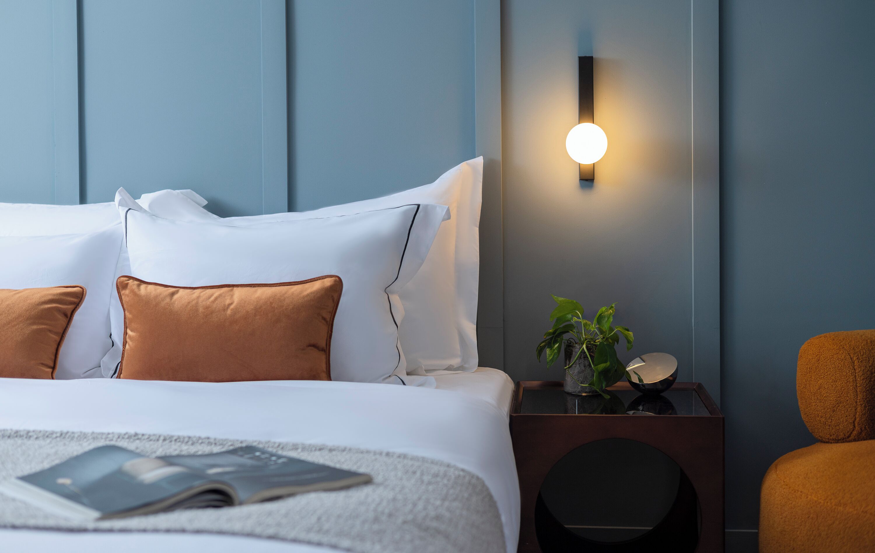 Photo - Albi Florentin - Traveler's Choice 2025