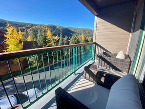 Property grounds - Modern Condo with a Short Walk to the Village! (Keystone)