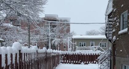 Lovely half basement Apt near highway