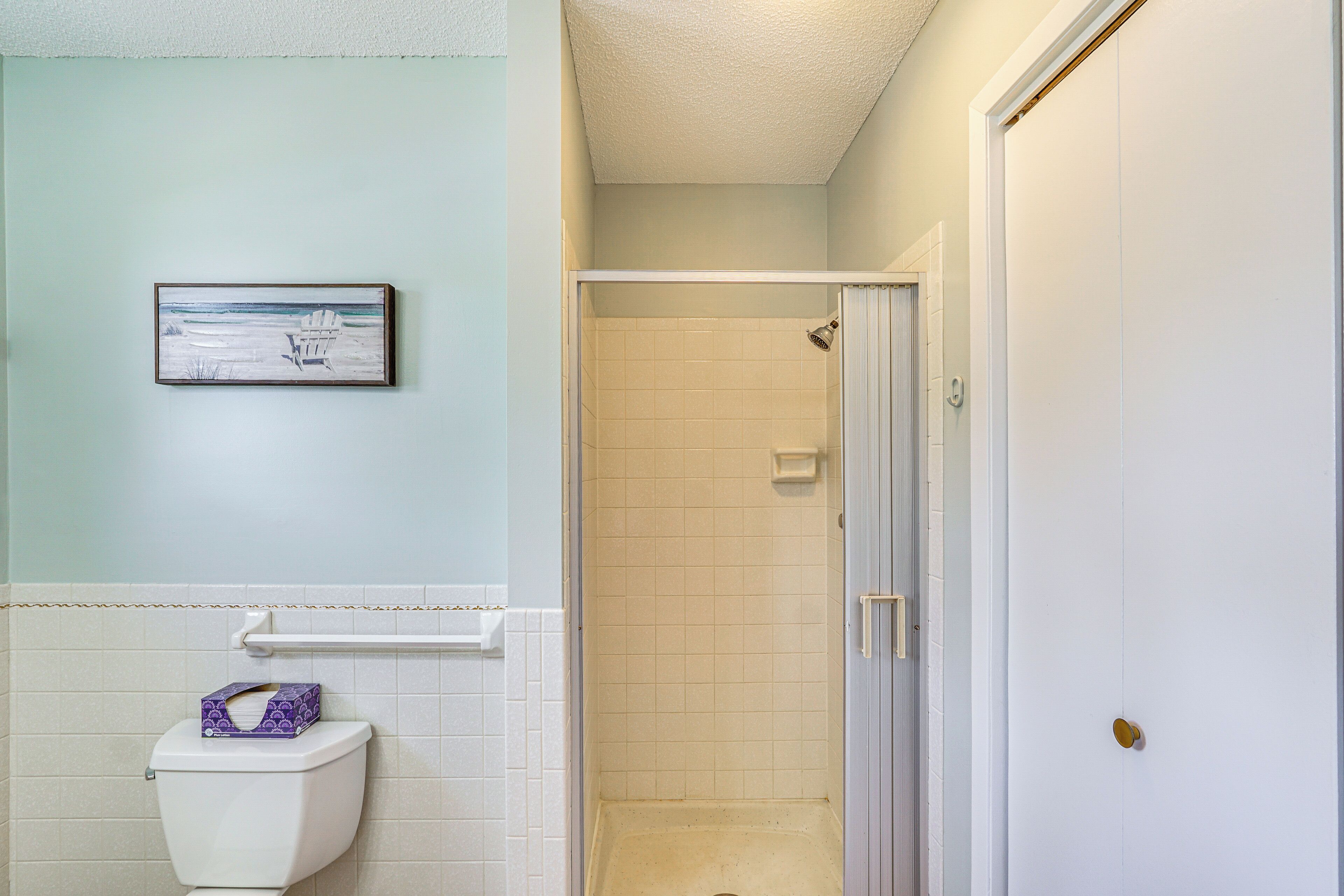 Une salle de bain avec des toilettes, un tableau encadré au mur, une douche et une porte.