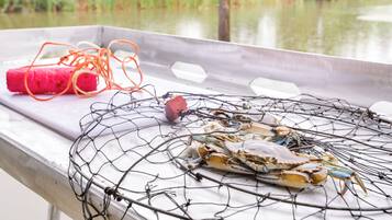 A metal surface with a wire crab trap containing crabs, a pink object, and tangled orange strings.