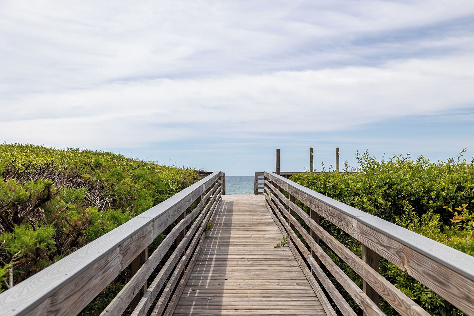 A wooden boardwalk leading to the sea, flanked by dense greenery.