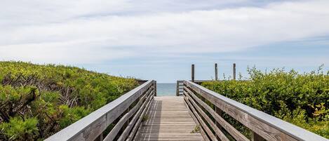 A wooden boardwalk leading to the sea, flanked by dense greenery.