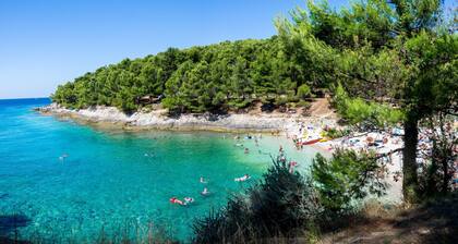Holiday Home Sladonja Apartments