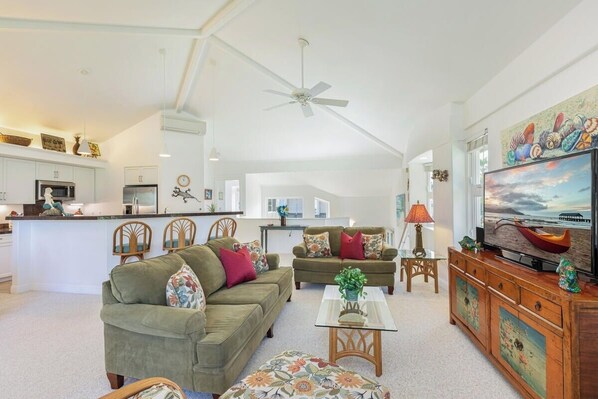 TV, DVD player, music library, video library