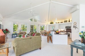 TV, DVD player, music library, video library