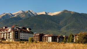Unclassified image, 2 of 44, button - Todorka Top Lodge Bansko (Bansko)