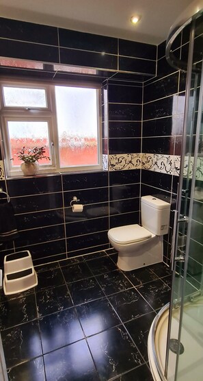 Shower, jetted tub, hair dryer, towels
