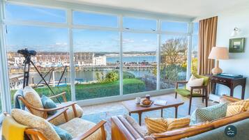 TV, fireplace, books