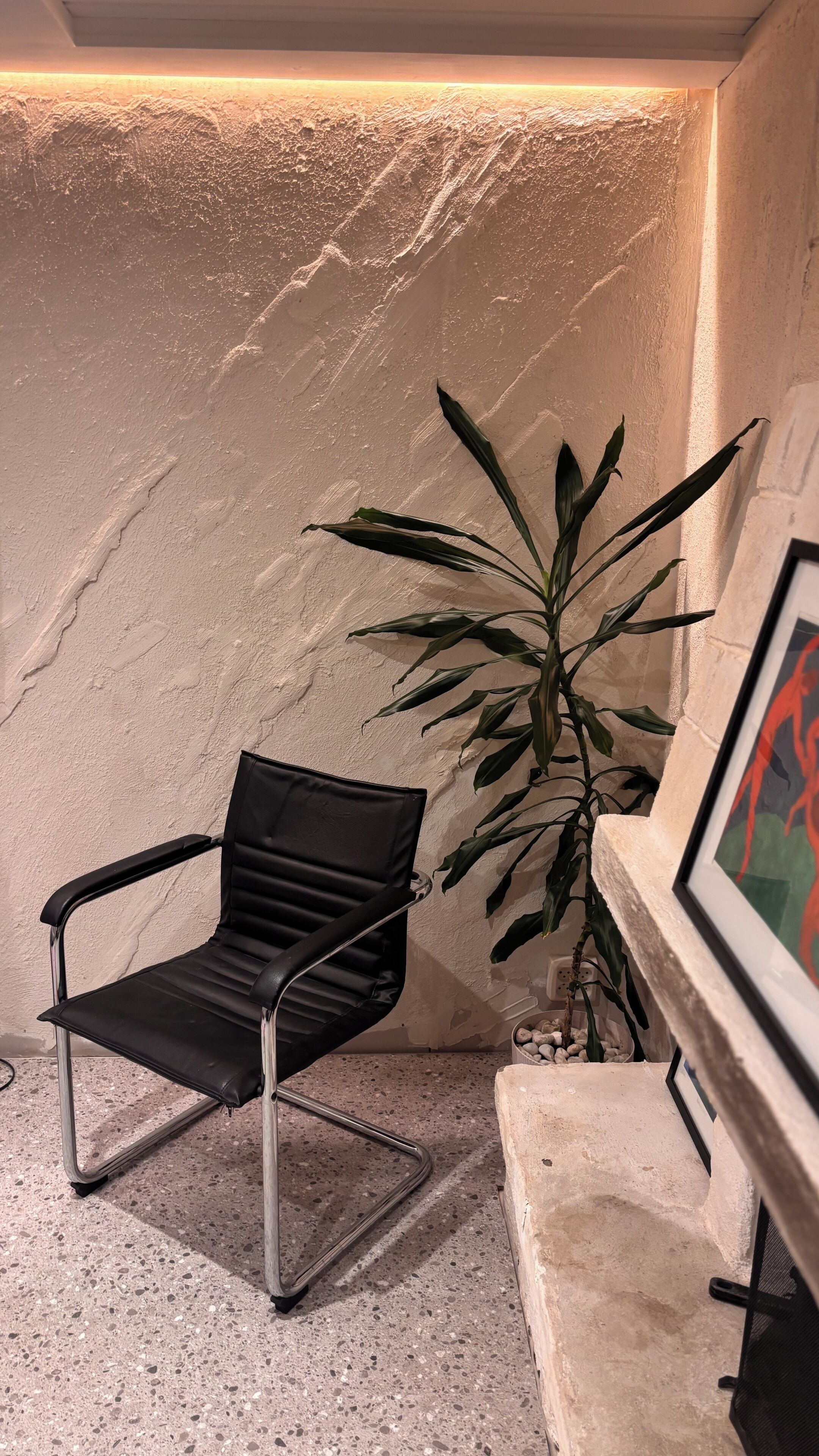 A corner with a black chair, a plant, and a framed picture on a wall.