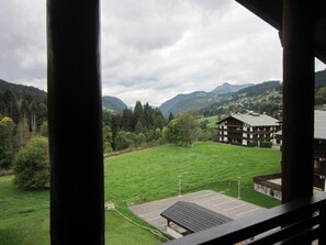 Property grounds - 300m from resort center, 4th floor, balcony, fireplace or stove, parking, tv, ski locker, 92m² (Les Gets)