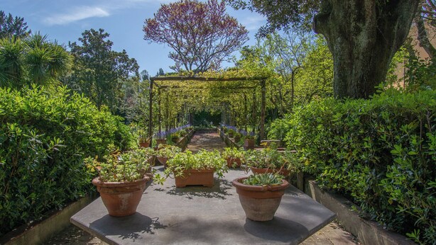 A garden pathway with a pergola and potted plants. - Wonderful apartment in Villa with nice garden and terrace. Lovely neighborhood   (Firenze)