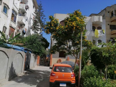 a super clean cozy apartment in Elsaedy street 