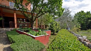 Un jardín ajardinado con setos cuidados, diversas plantas y un edificio con balcón.