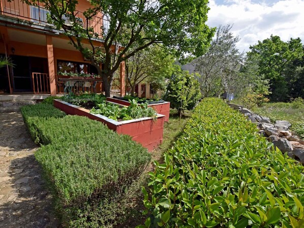 A landscaped garden with neatly trimmed hedges, a variety of plants, and a building with a balcony.