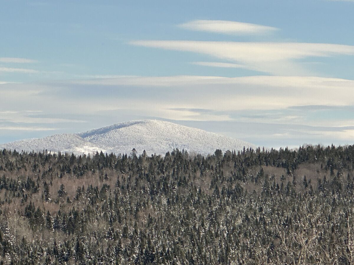 Paisaje montañoso nevado con un primer plano boscoso y cielo despejado.