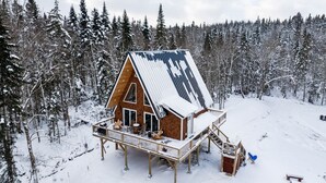 Een houten chalet met terras, omgeven door een besneeuwde bebossing.