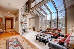 TV connectée, cheminée, lecteur de DVD