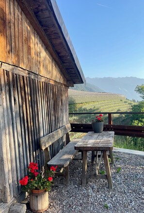 A rustic wooden building with a bench and a potted plant.