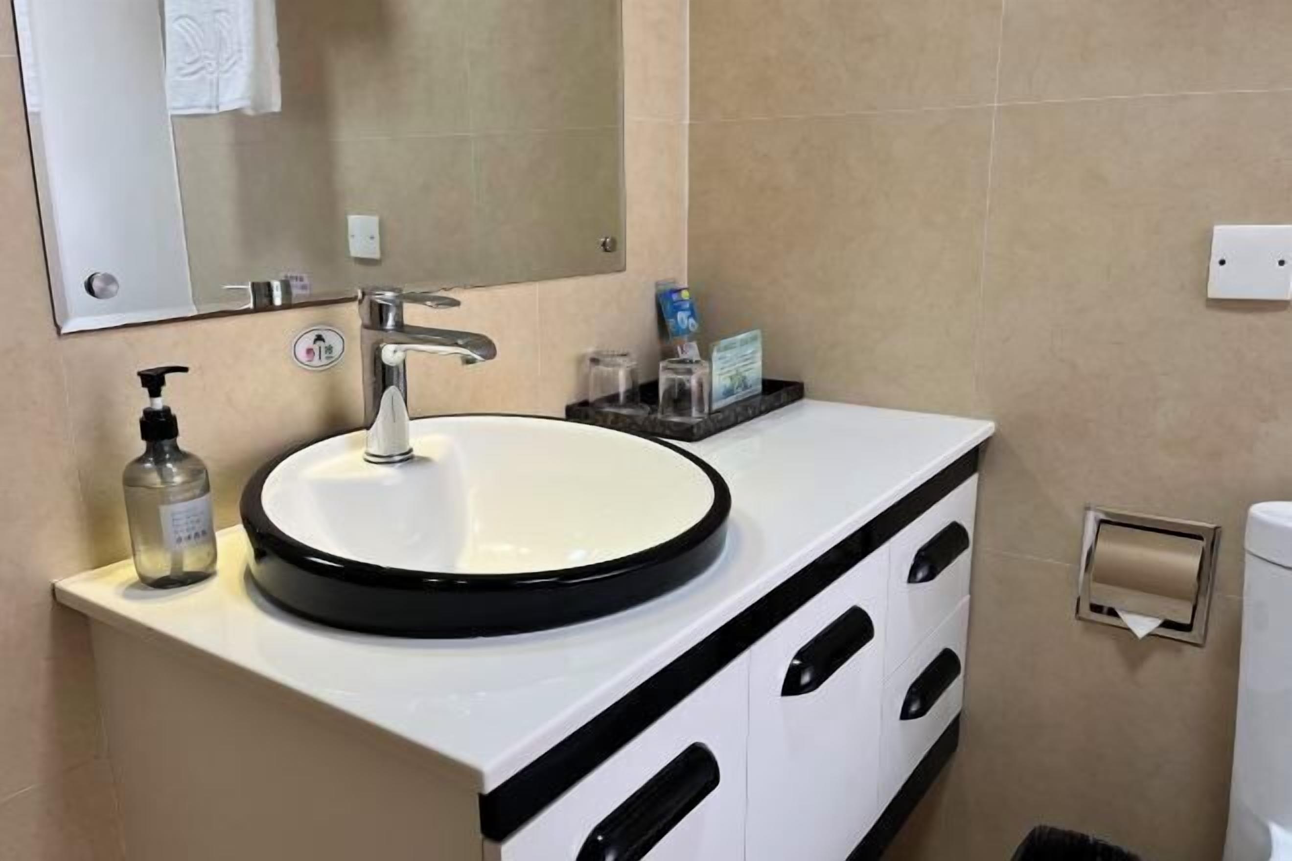 A bathroom with a white sink, black faucet, and a mirror above it. There is a bottle of hand soap on the counter and a tissue box.