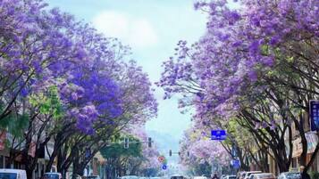 منوع