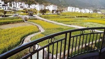 Vista desde la propiedad